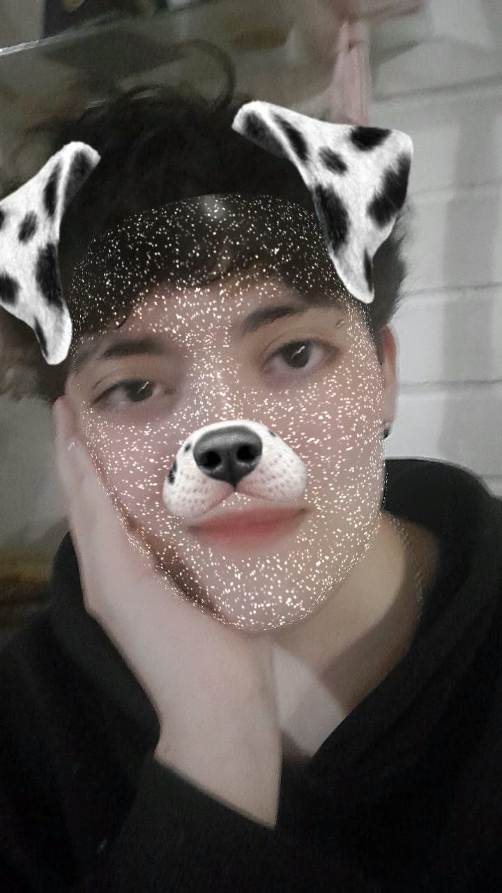 Retrato de mi niño bello con filtro de perrito y una mano en su cara